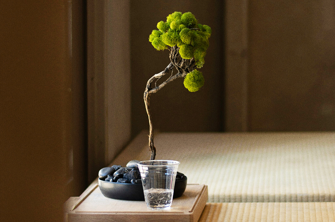 대표원장 1:1 맞춤 진료 이미지