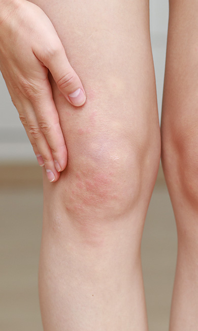 시그니처 카테고리 이미지